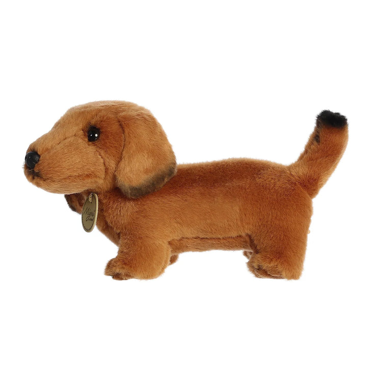 Aurora Miyoni Dachshund Brown
