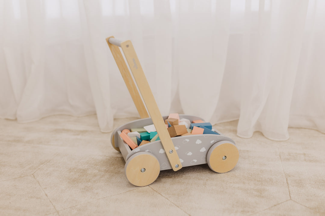 Bubble Wooden Baby Push Cart & Walker with 45 Building Blocks