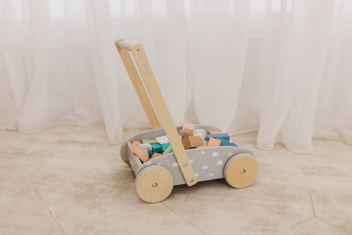 Bubble Wooden Baby Push Cart & Walker with 45 Building Blocks