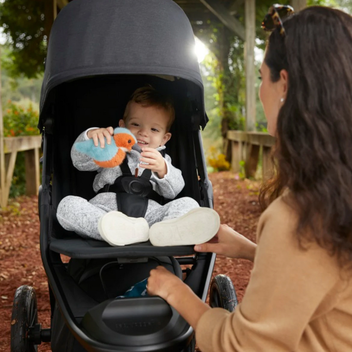 Baby Jogger City Elite 2 - Opulent Black