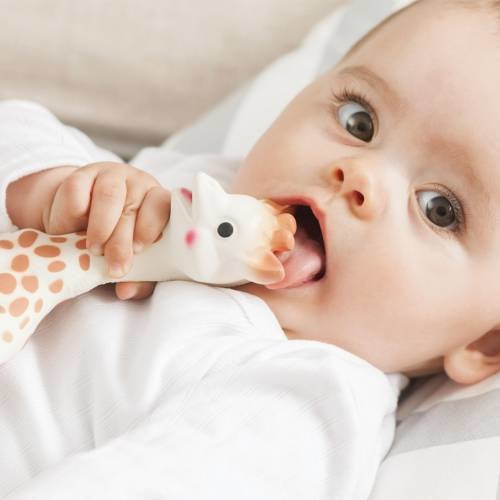 Sophie la girafe gift box(616400)