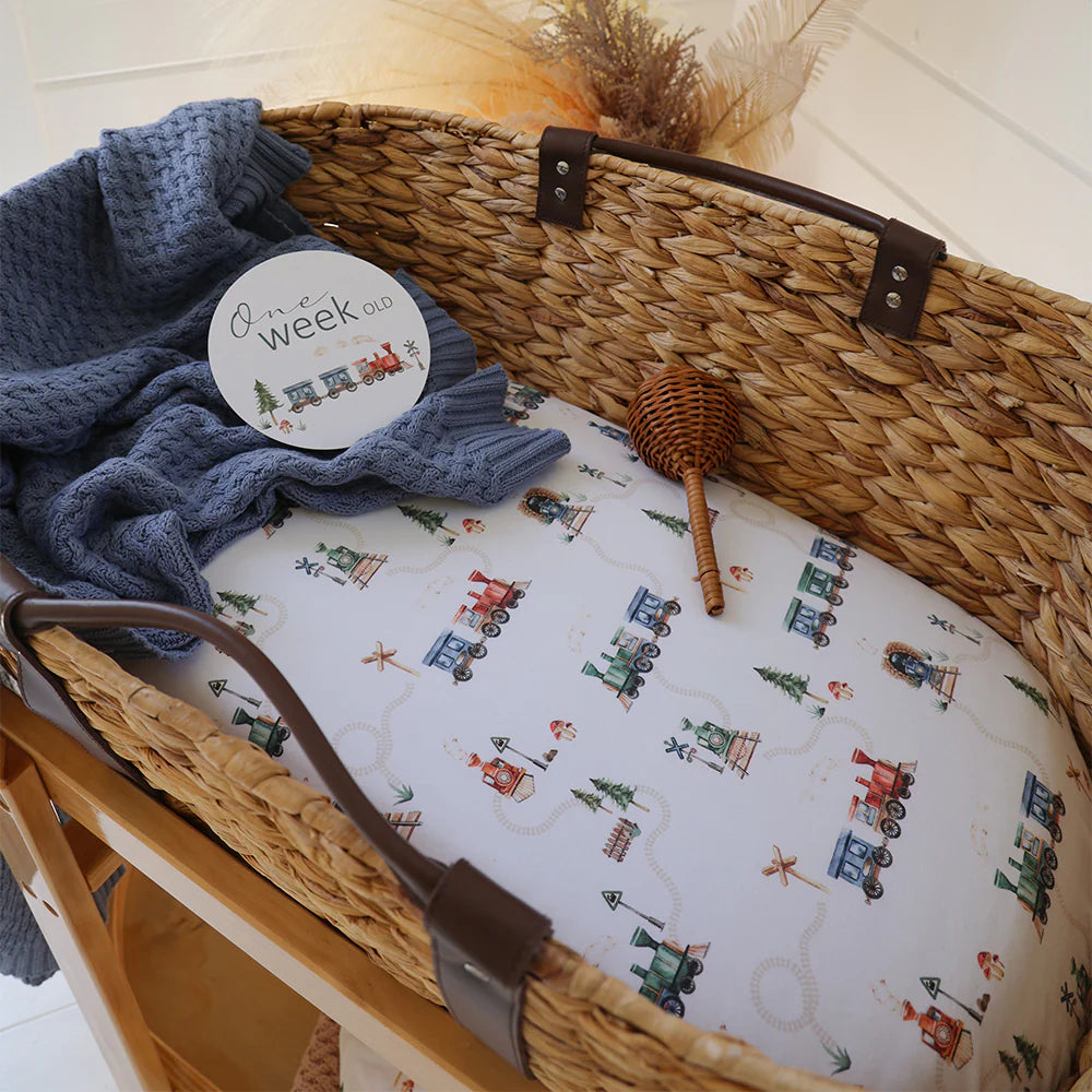 Bassinet Sheet / Change Pad Cover Trains