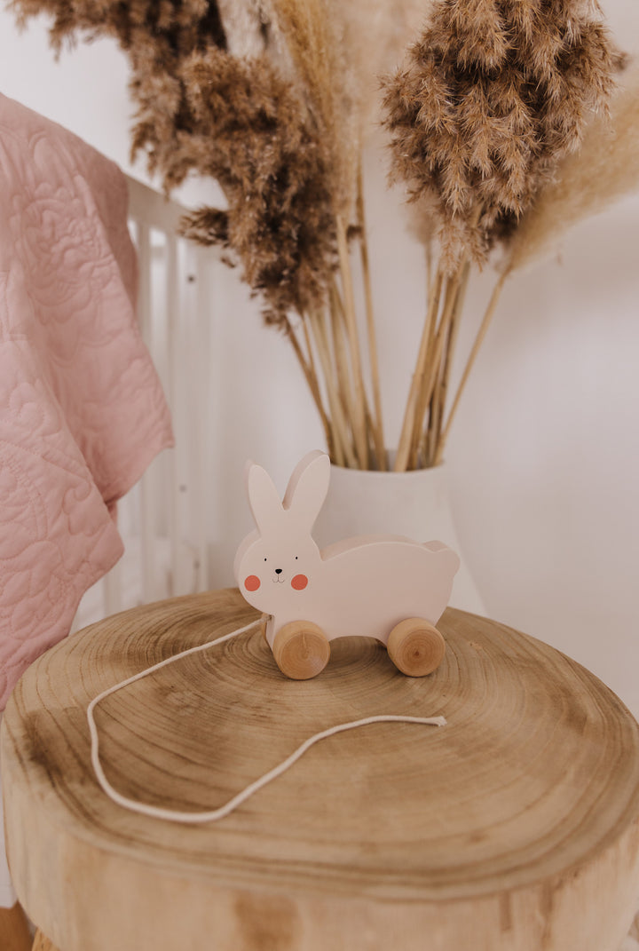 Bubble Wooden Rabbit Pull Along