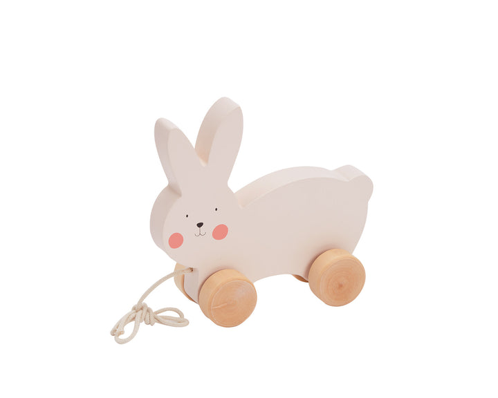 Bubble Wooden Rabbit Pull Along