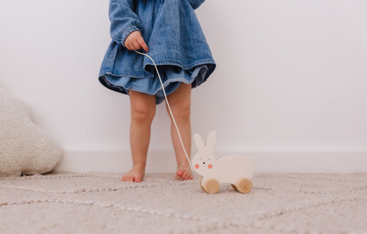 Bubble Wooden Rabbit Pull Along
