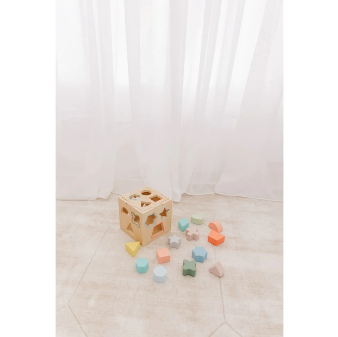 Bubble Wooden Shape Sorting Cube