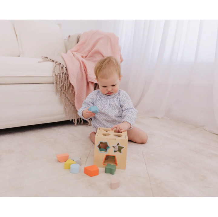 Bubble Wooden Shape Sorting Cube