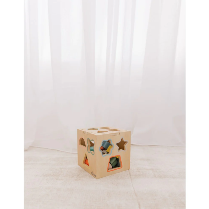 Bubble Wooden Shape Sorting Cube