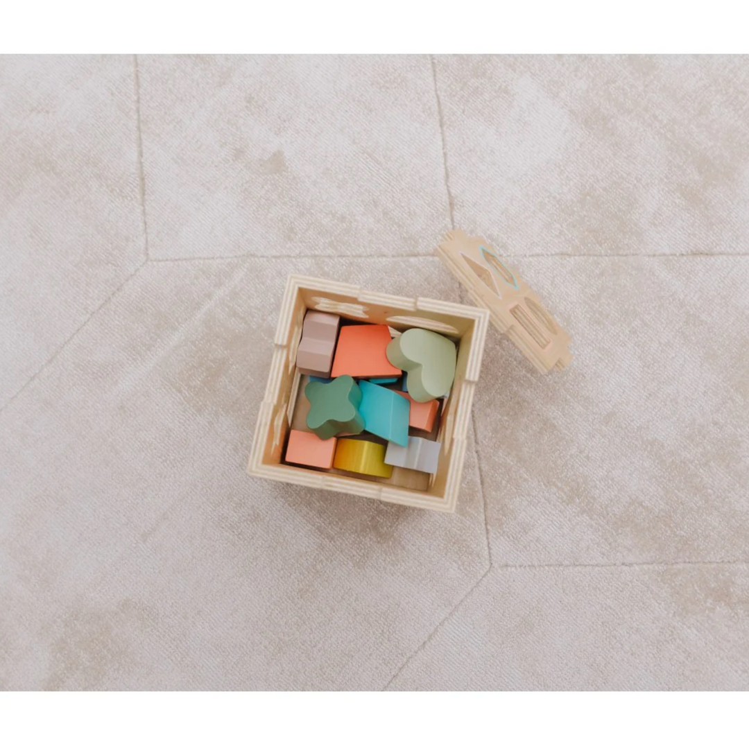 Bubble Wooden Shape Sorting Cube