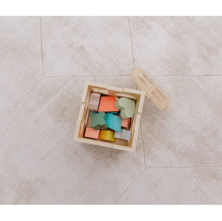 Bubble Wooden Shape Sorting Cube