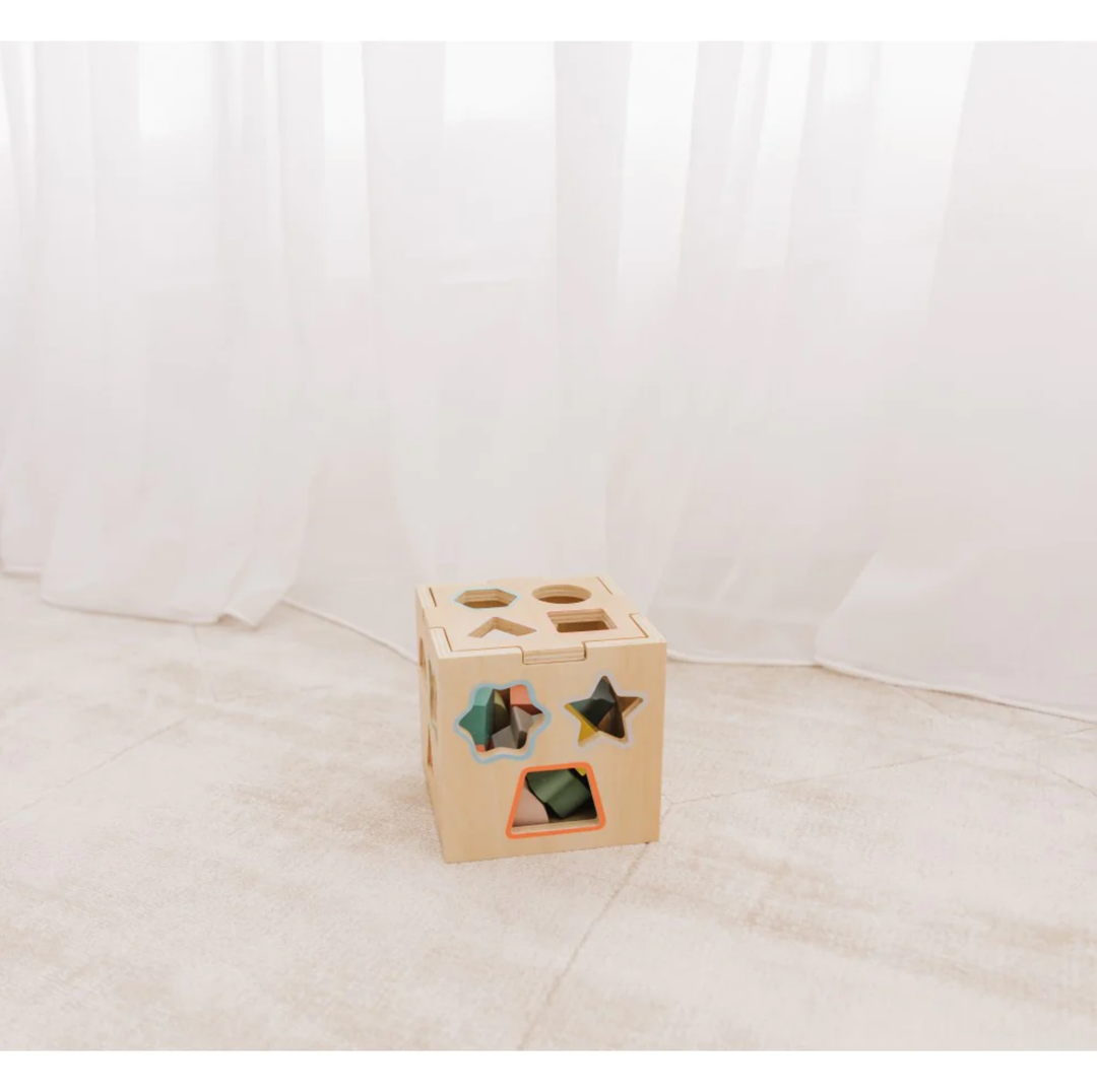 Bubble Wooden Shape Sorting Cube