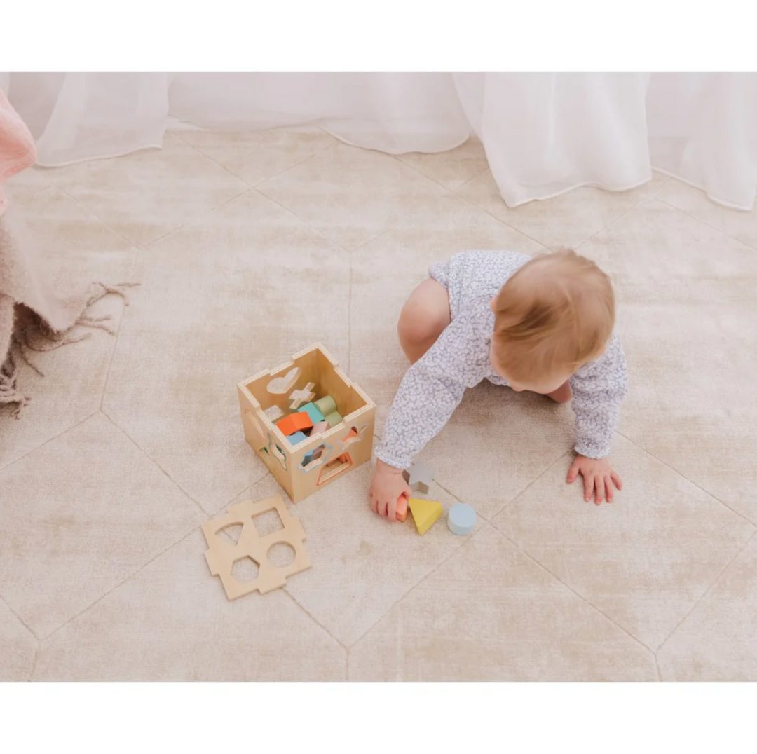Bubble Wooden Shape Sorting Cube