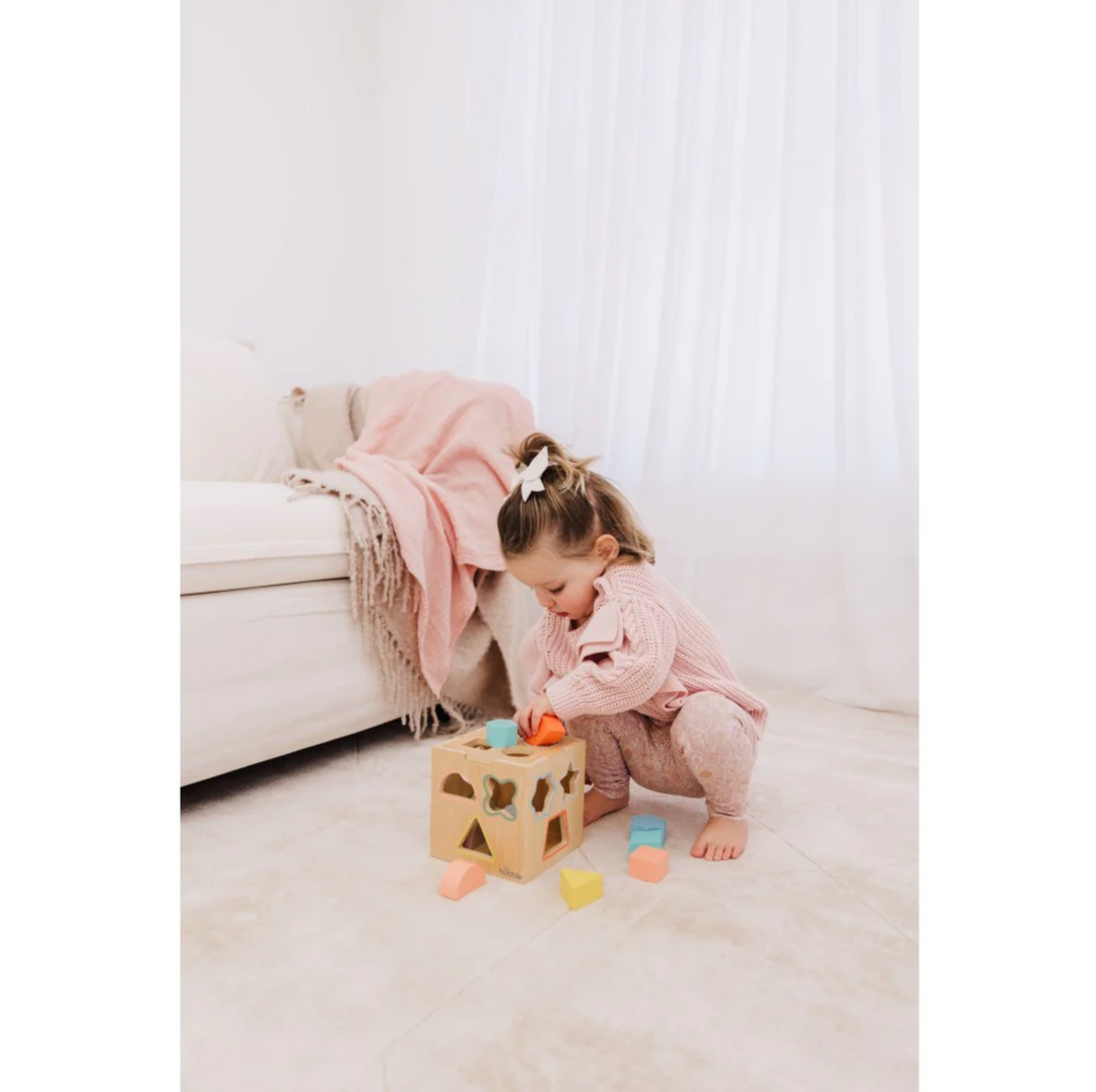 Bubble Wooden Shape Sorting Cube
