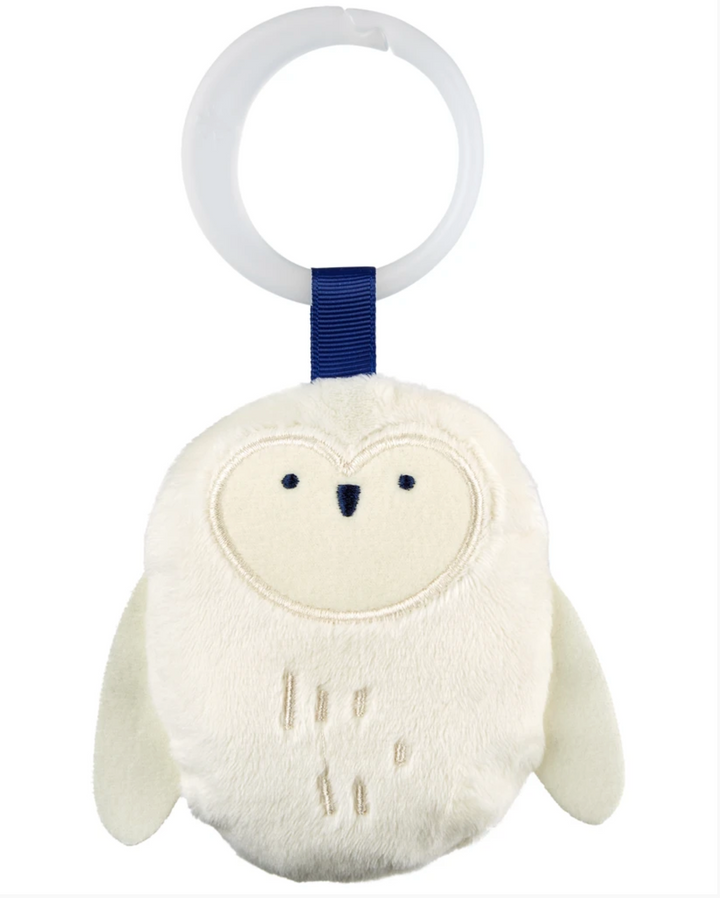 Skip Hop Celestial Dreams Activity Gym