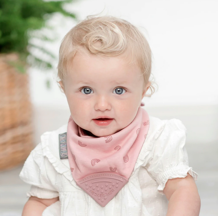 Cheeky Chompers Neckerchew-Rainbow Rose