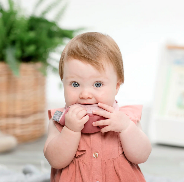 Cheeky Chompers Neckerchew-Rainbow Rose