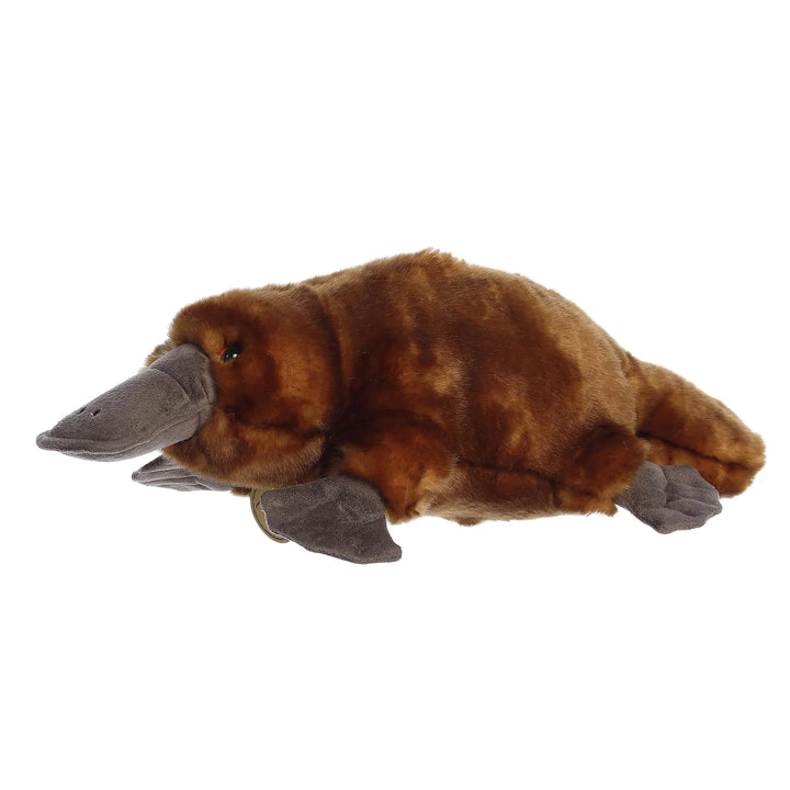 Aurora Miyoni Platypus Brown