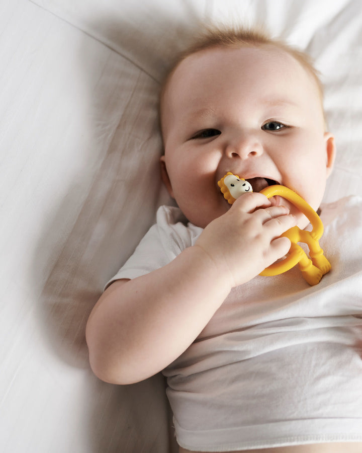 Matchstick Monkey Animal Teether - Lion Anti Microbial