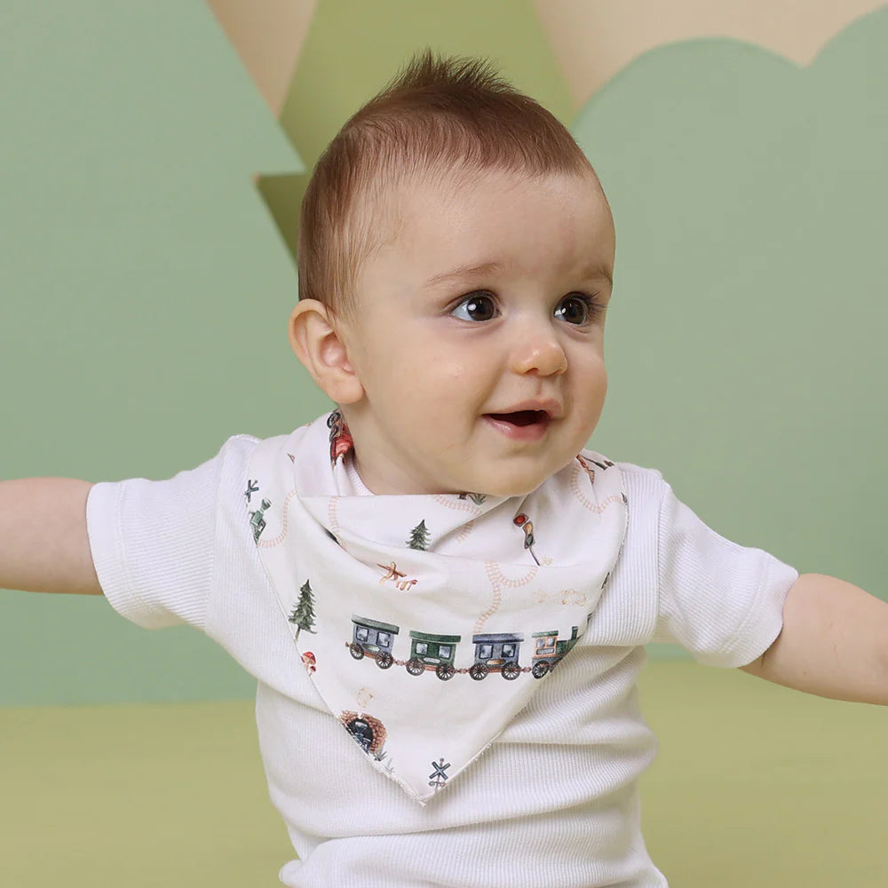 Organic Dribble Bib - Trains