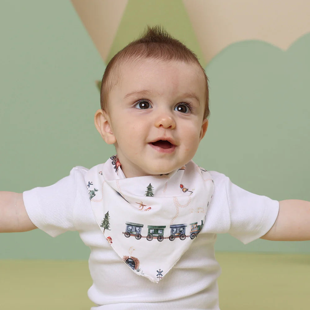 Organic Dribble Bib - Trains