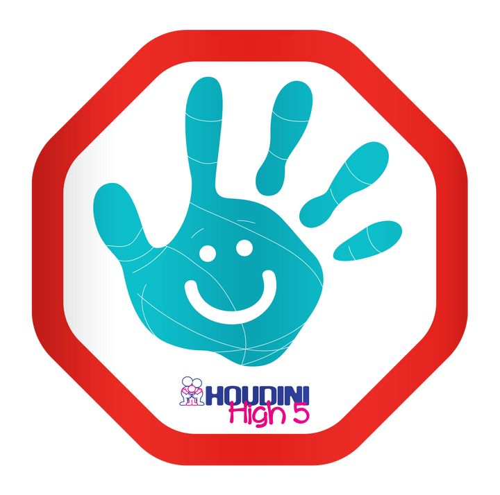 Houdini High 5 Sticker Twin Pack-Aqua