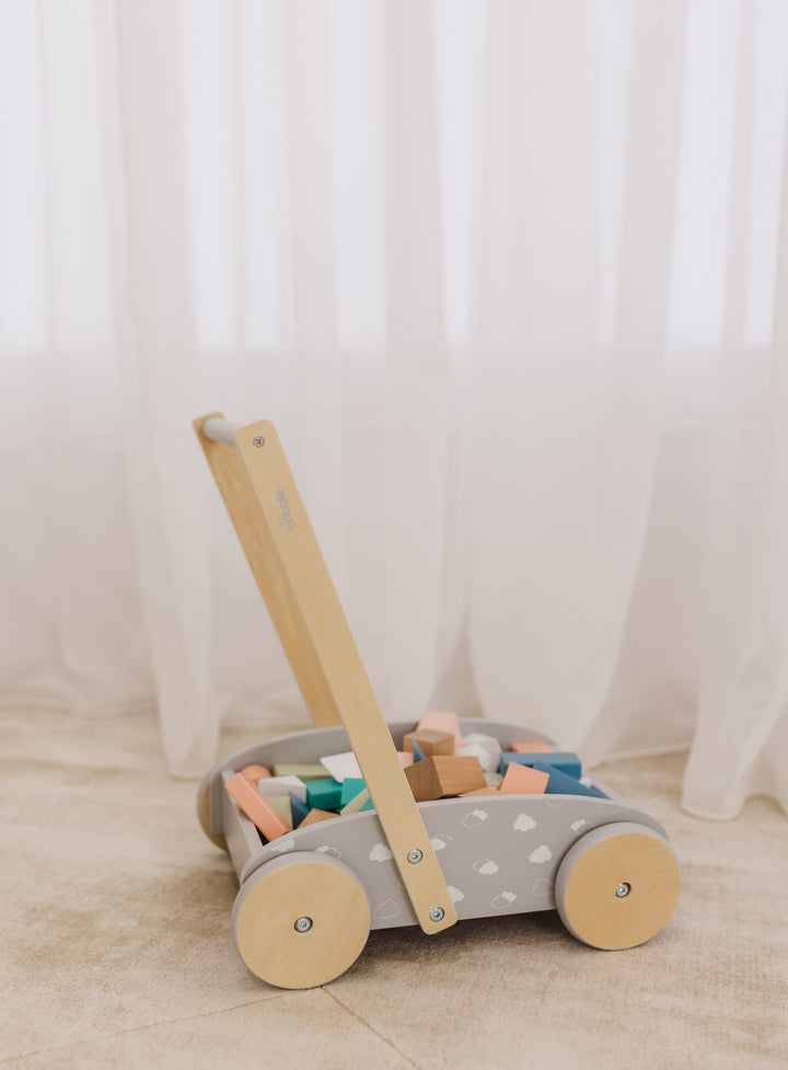 Bubble Wooden Baby Push Cart & Walker with 45 Building Blocks
