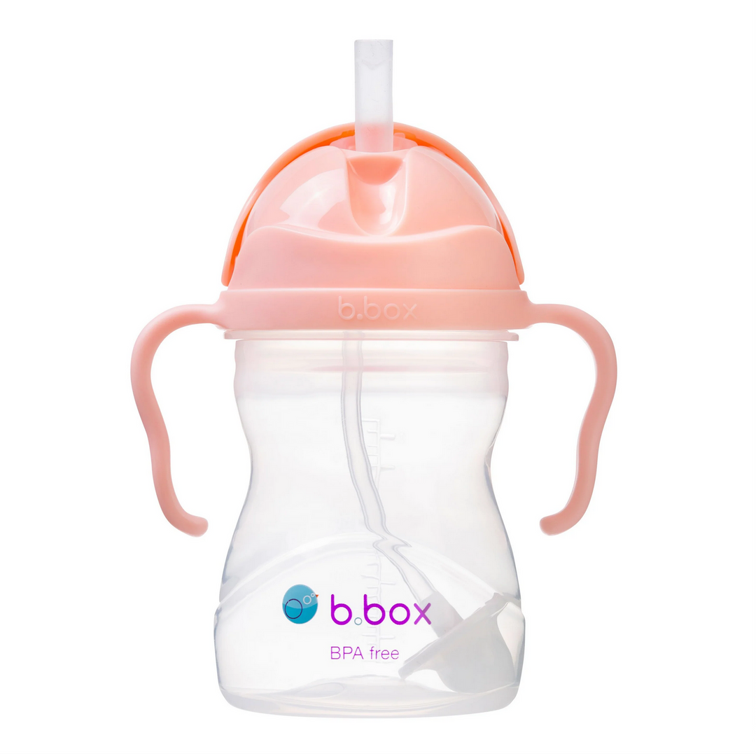 Sippy Cup Tutti Frutti