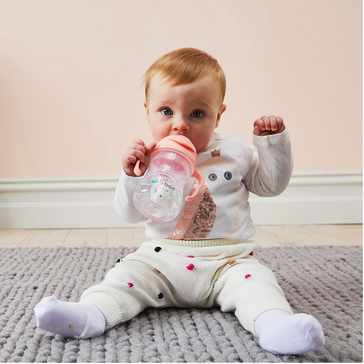Sippy Cup Tutti Frutti