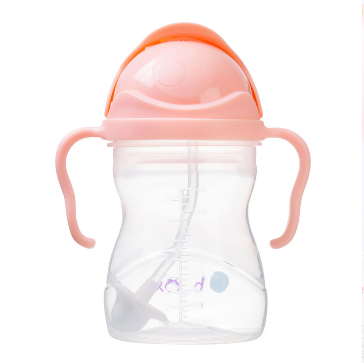 Sippy Cup Tutti Frutti