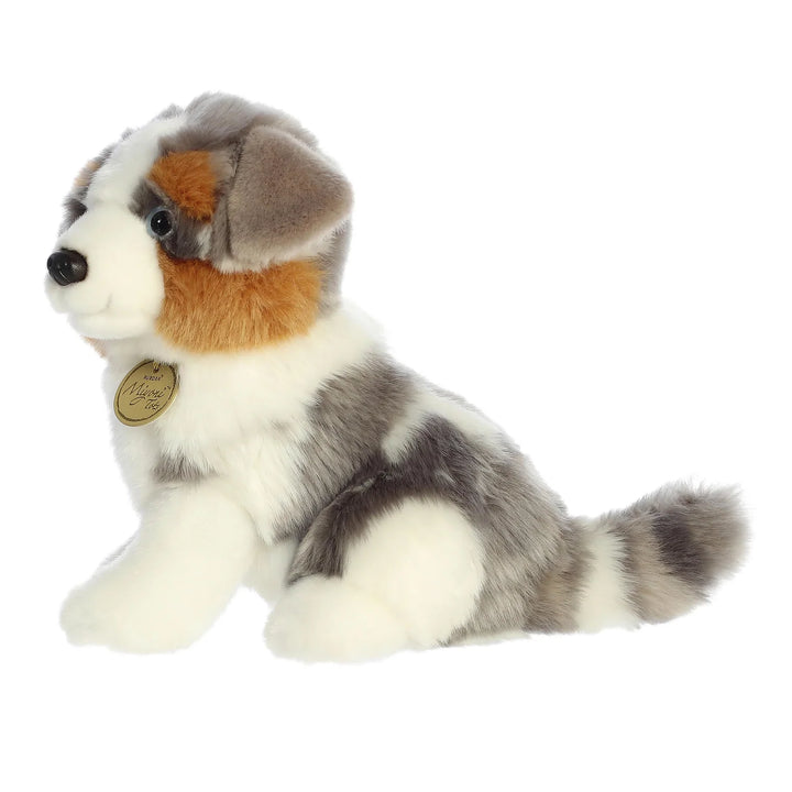 Aurora Miyoni Australian Shephard