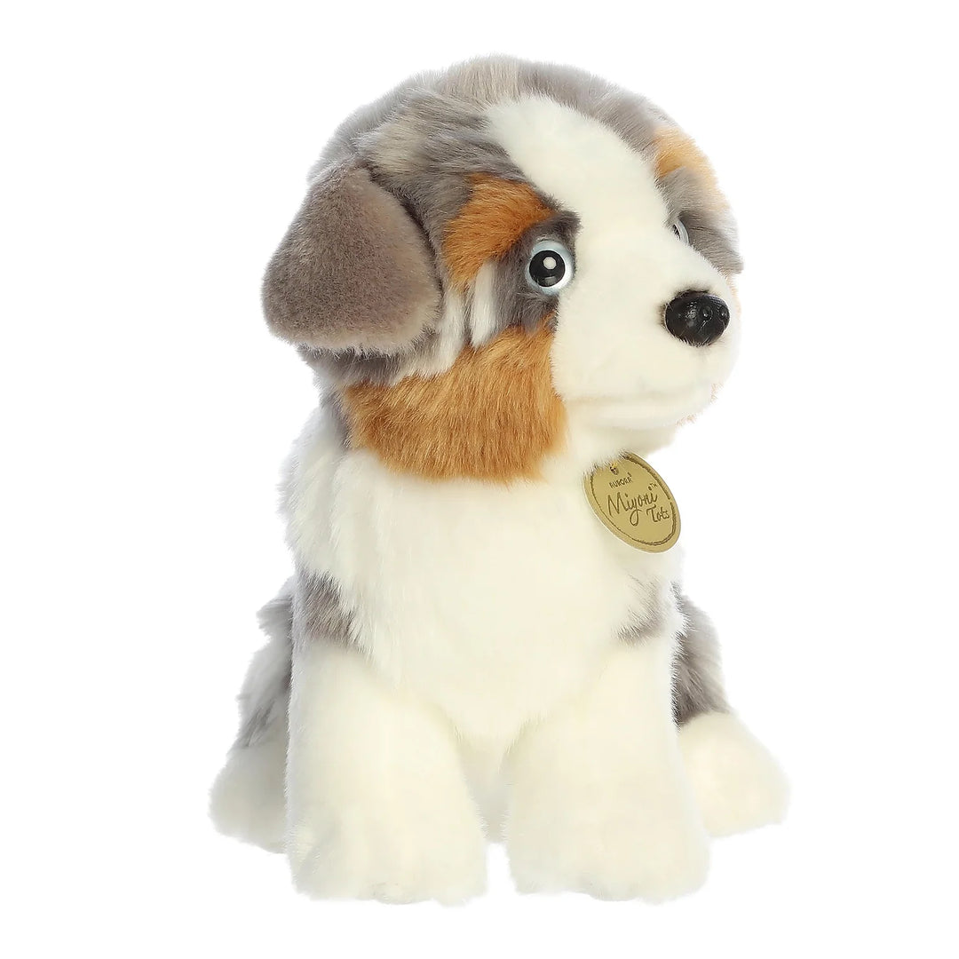 Aurora Miyoni Australian Shephard