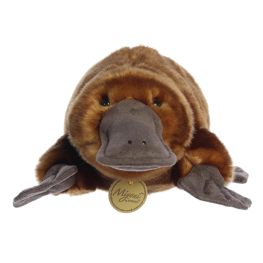 Aurora Miyoni Platypus Brown