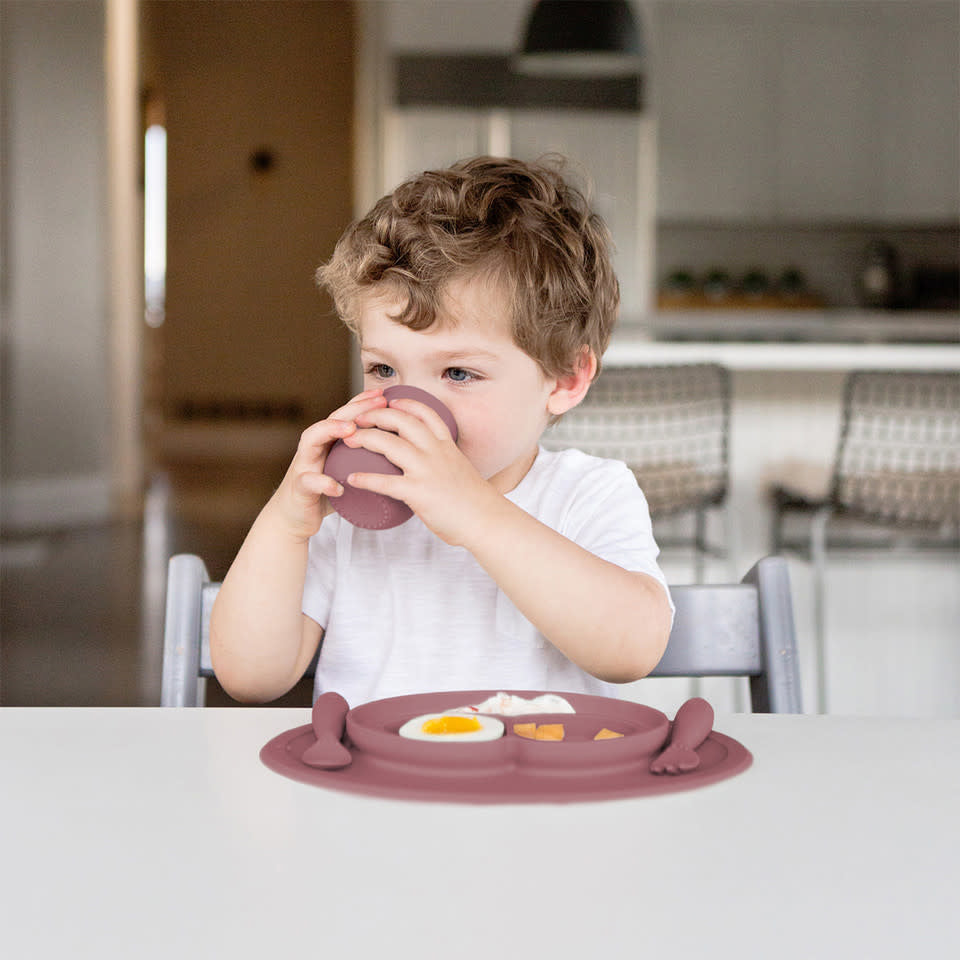 EZPZ MINI FEEDING SET MAUVE
