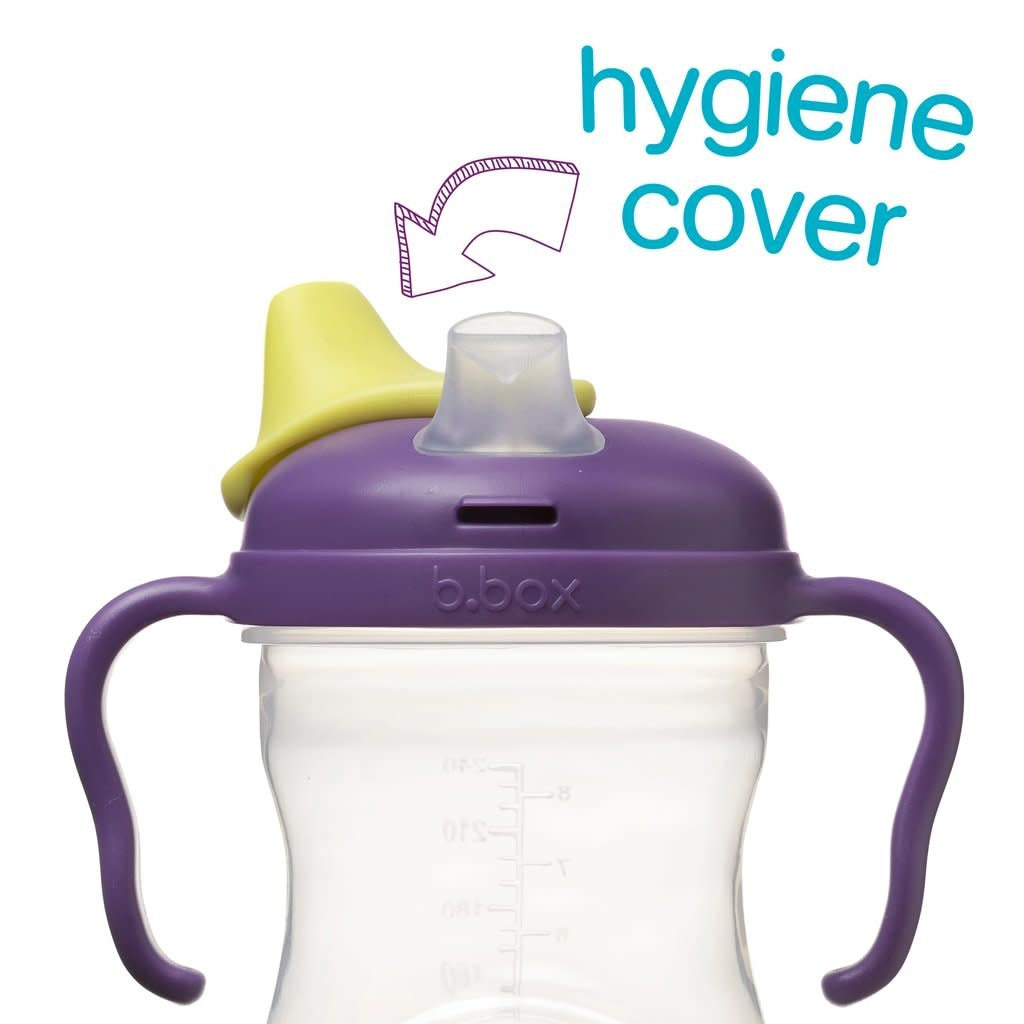 B.BOX SPOUT CUP - Grape