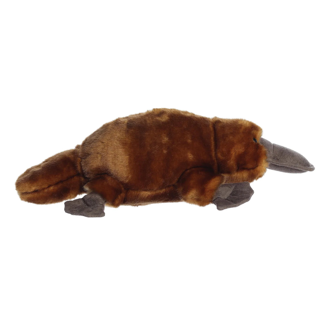 Aurora Miyoni Platypus Brown