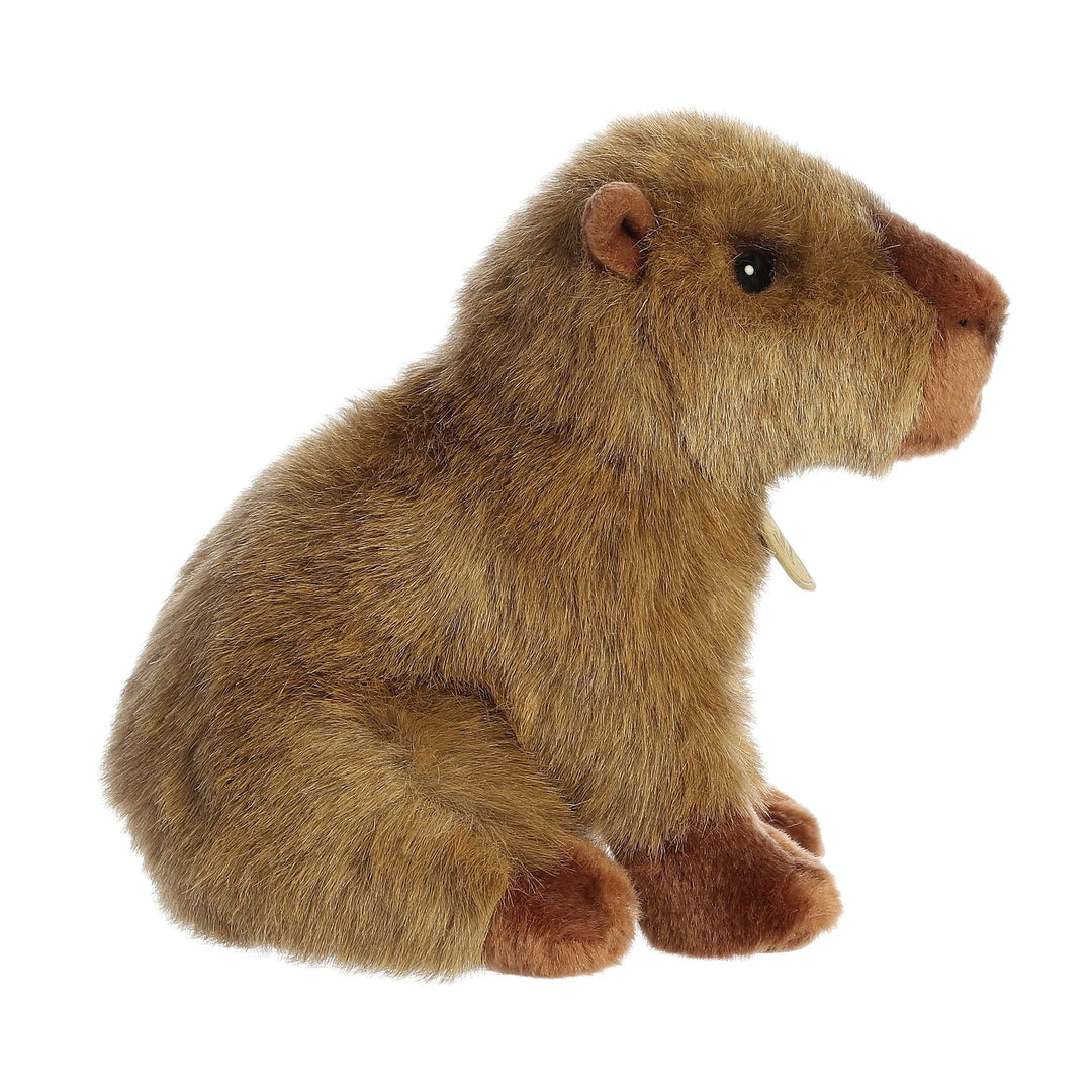 Aurora Miyoni Capybara Brown