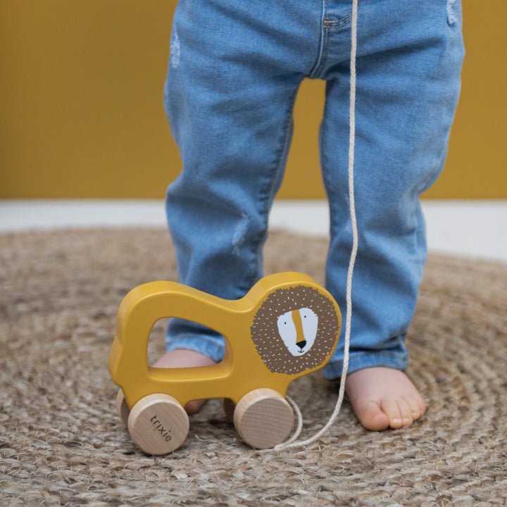 Trixie Wooden pull along toy-Mr. Lion