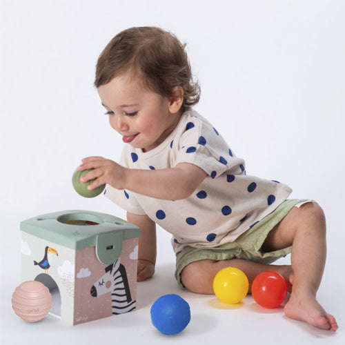 TAF Toys Magic Box(TT12965)