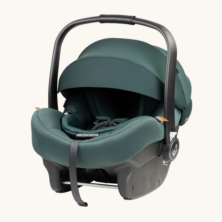 Maxi Cosi Mico 12 LX PRO ISOFIX - Forest (26021)