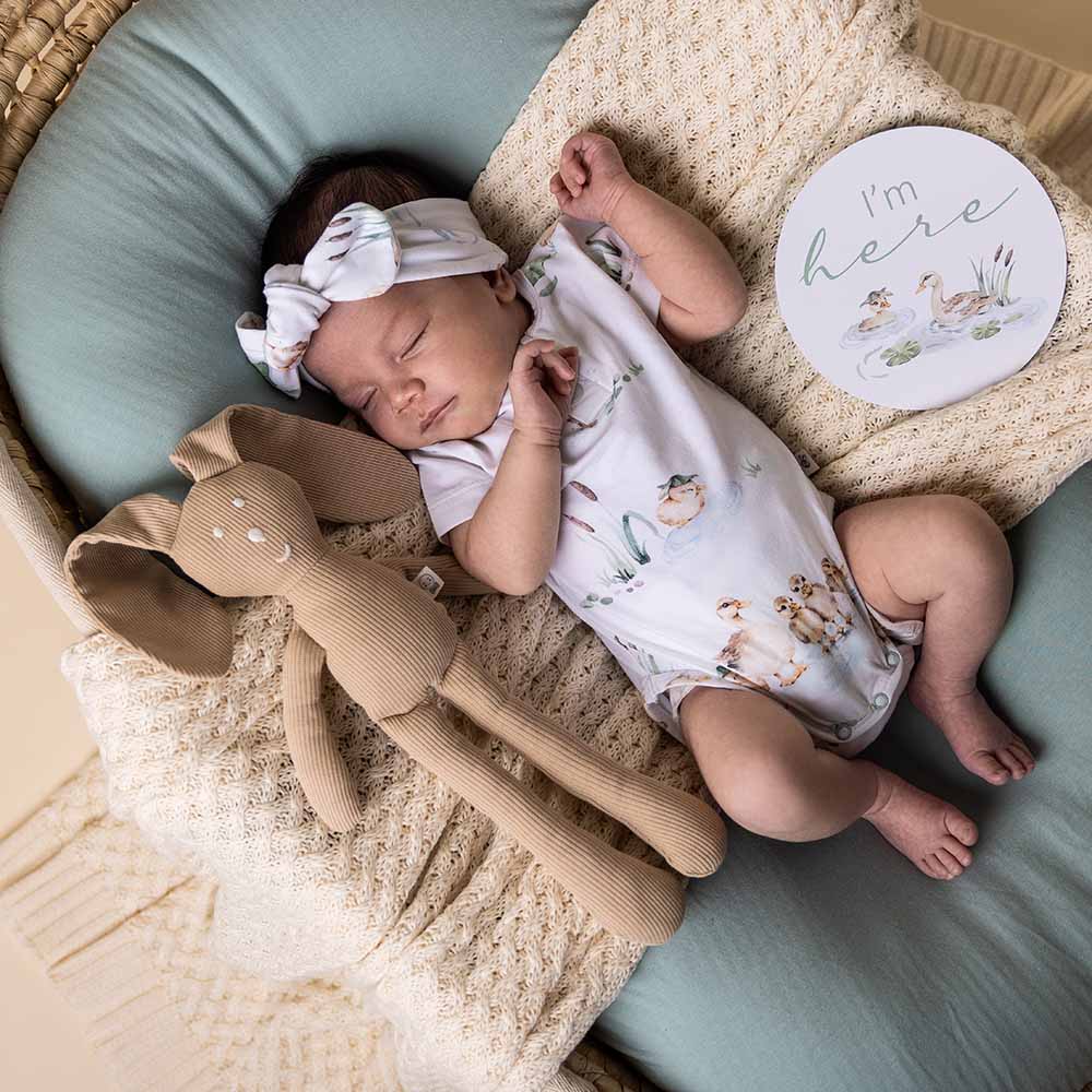 Reversible Milestone Cards - Duck Pond & Sage