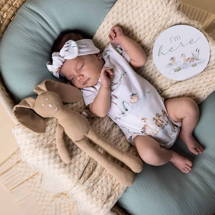 Reversible Milestone Cards - Duck Pond & Sage