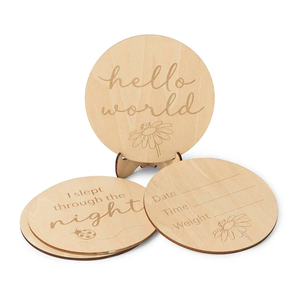 Snuggle Hunny Ladybug Wooden Milestone Cards