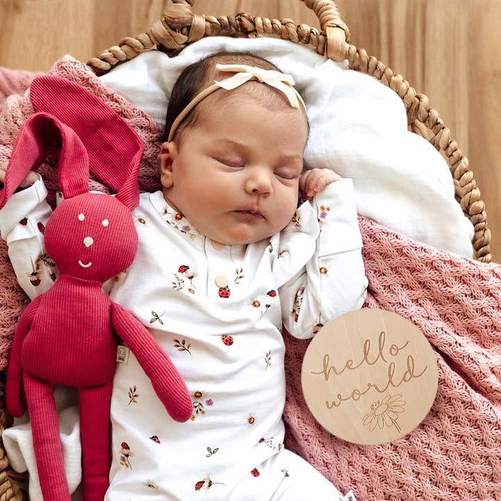 Snuggle Hunny Ladybug Wooden Milestone Cards