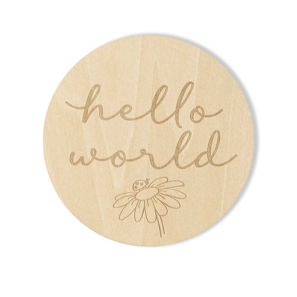 Snuggle Hunny Ladybug Wooden Milestone Cards