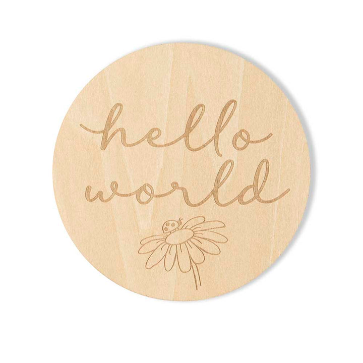 Snuggle Hunny Ladybug Wooden Milestone Cards