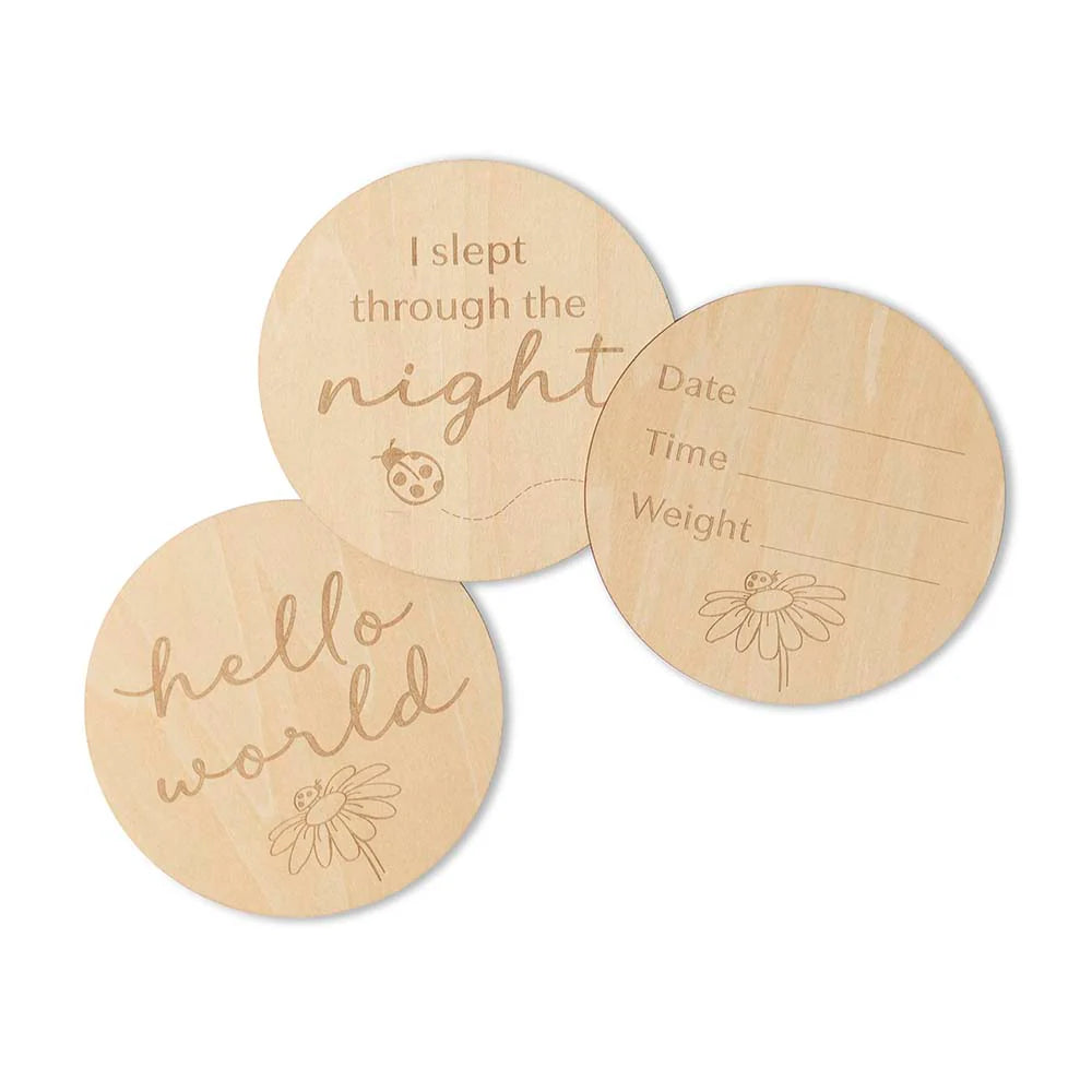 Snuggle Hunny Ladybug Wooden Milestone Cards