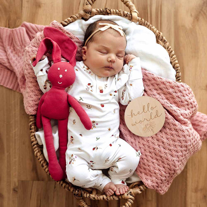 Snuggle Hunny Ladybug Wooden Milestone Cards