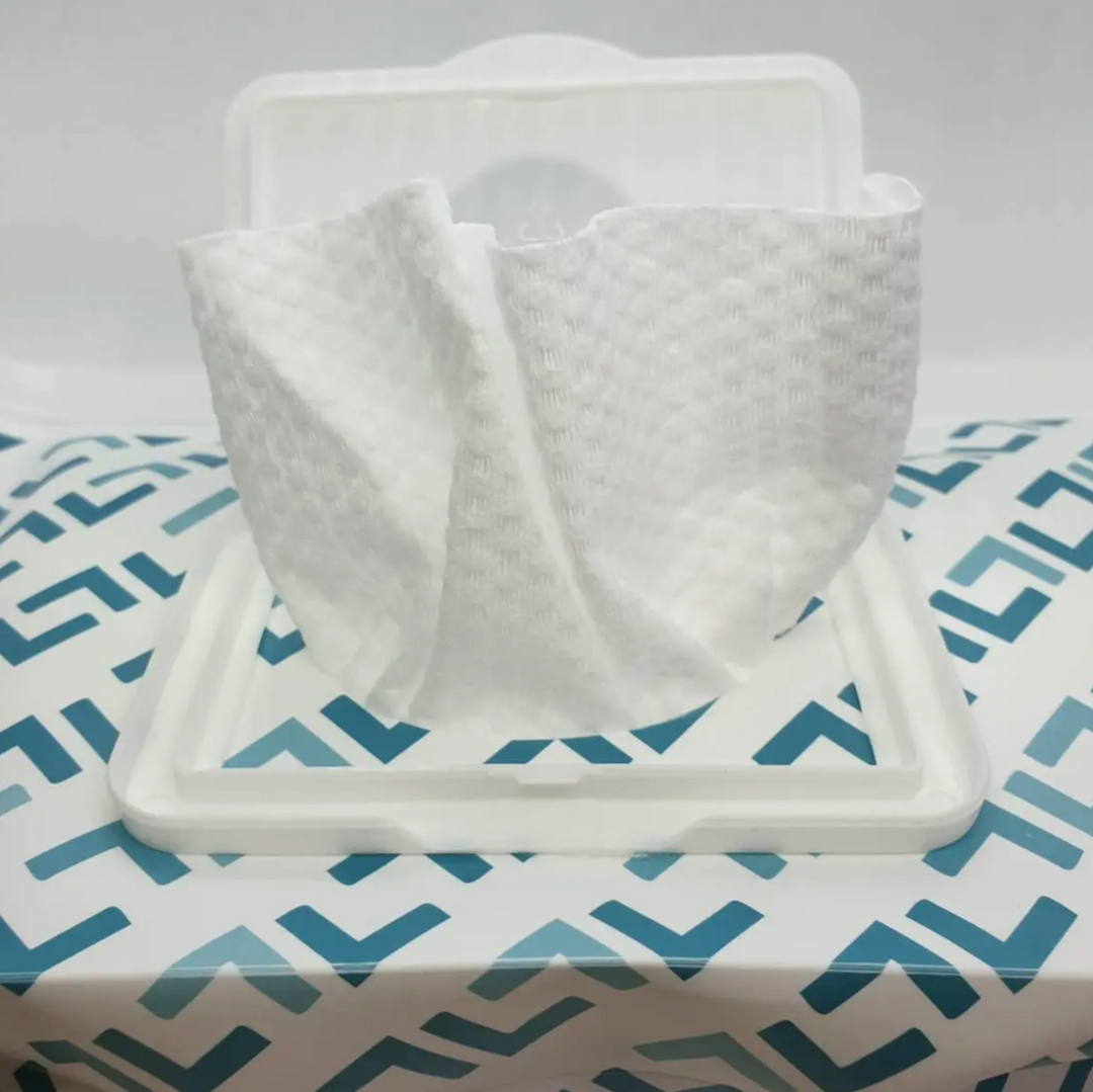 Mininor Dry Wipes Travel Bag