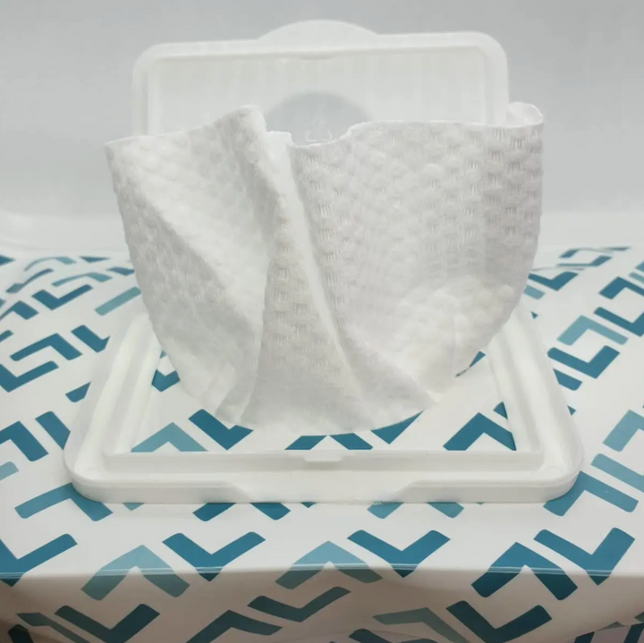 Mininor Dry Wipes Travel Bag