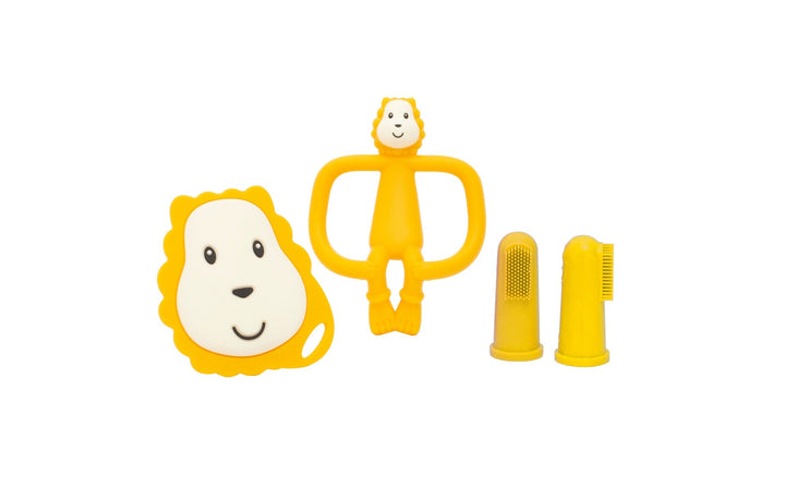 Matchstick Money Starter Set-Lion